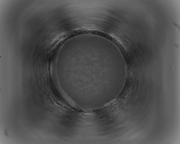 X0000095541110200712141518