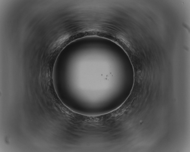 X0000095541111200712141518