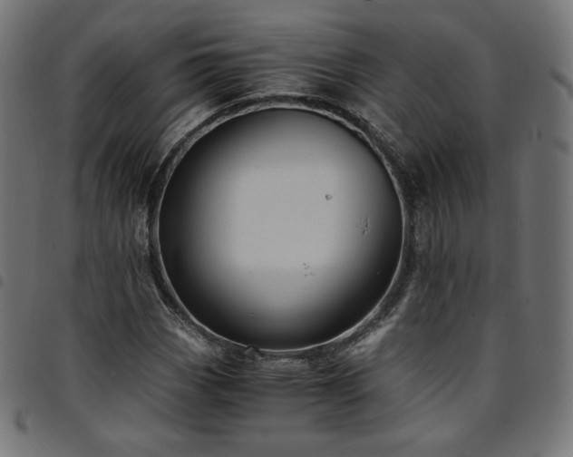 X0000095541113200712141518