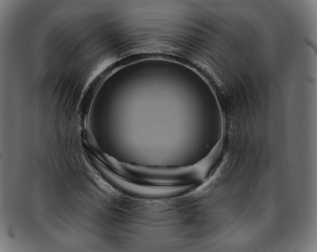 X0000095541114200712141518