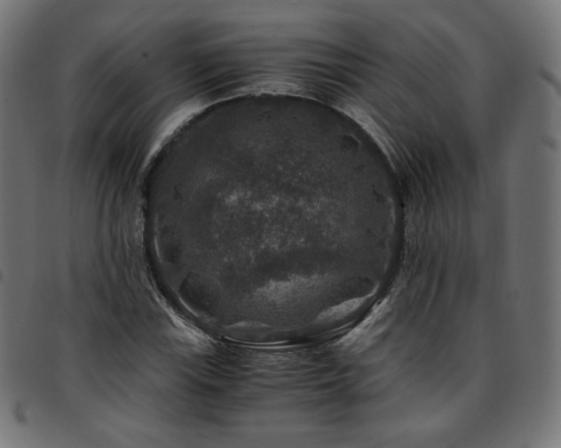 X0000095541115200712141518