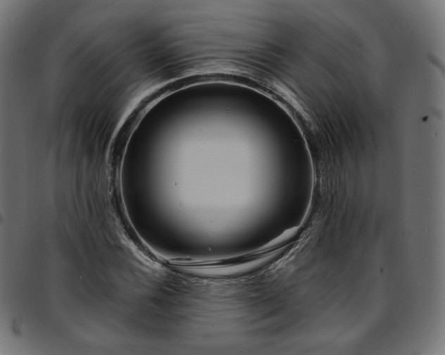 X0000095541116200712141518