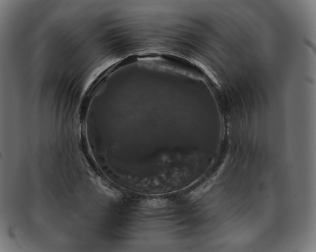 X0000095541117200712141518