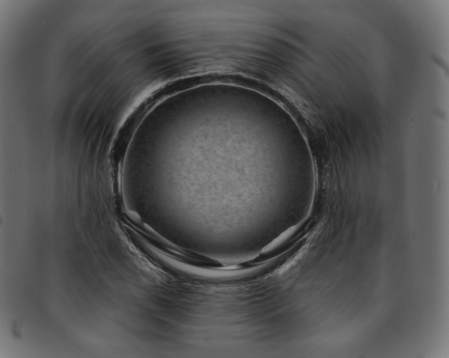 X0000095541118200712141518