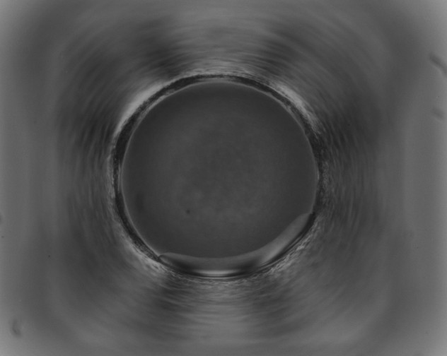 X0000095541120200712141518