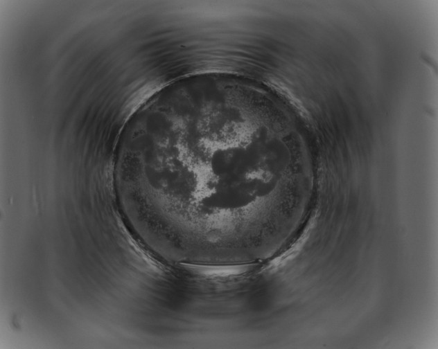 X0000095541121200712141518