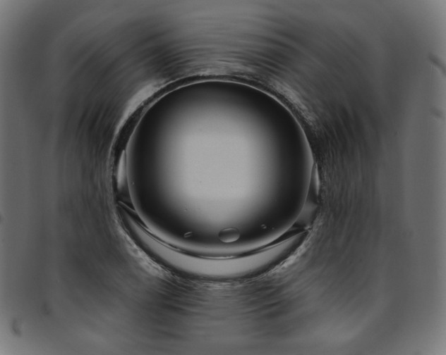 X0000095541122200712141518