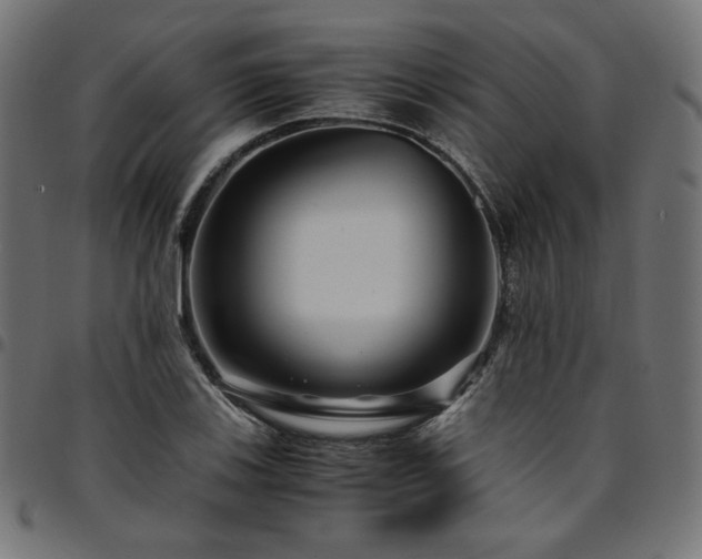 X0000095541123200712141518