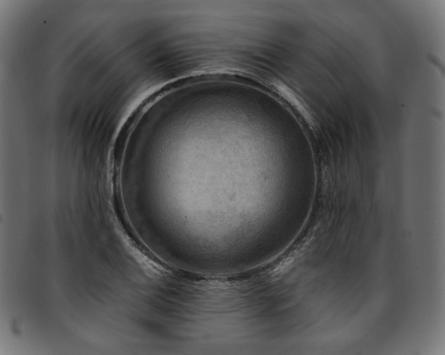 X0000095541124200712141518