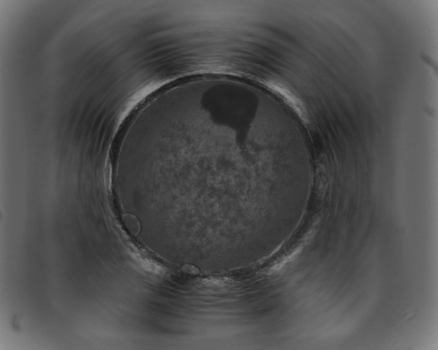 X0000095541125200712141518