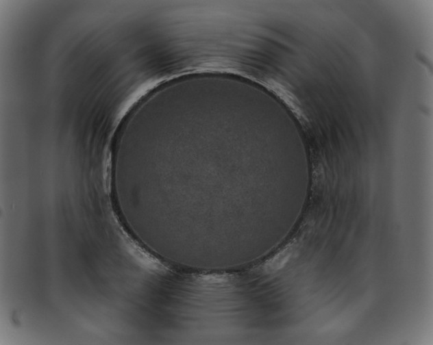 X0000095541126200712141518