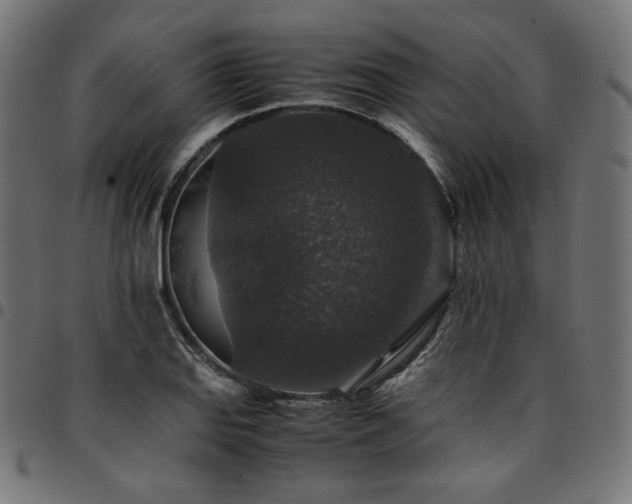 X0000095541127200712141518