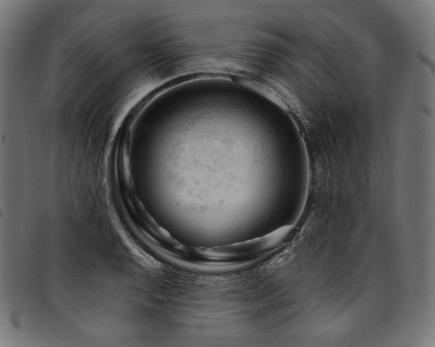 X0000095541128200712141518