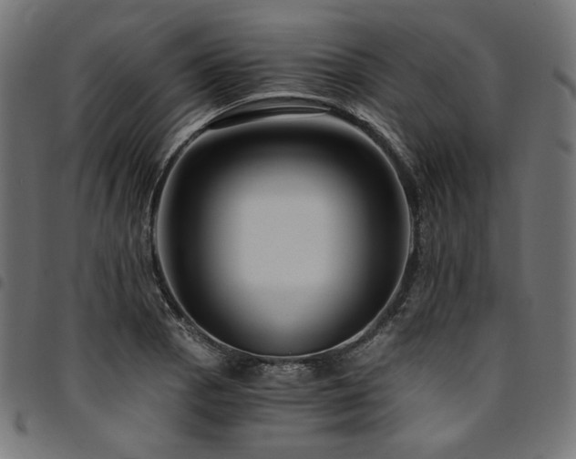 X0000095541129200712141518