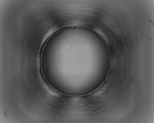 X0000095541130200712141518