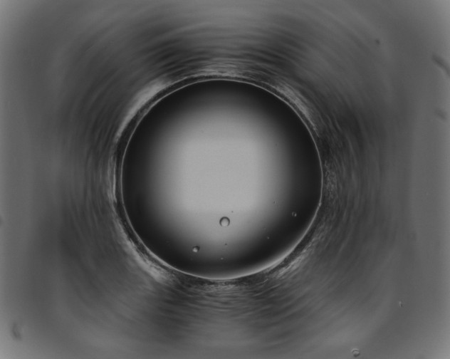 X0000095541131200712141518