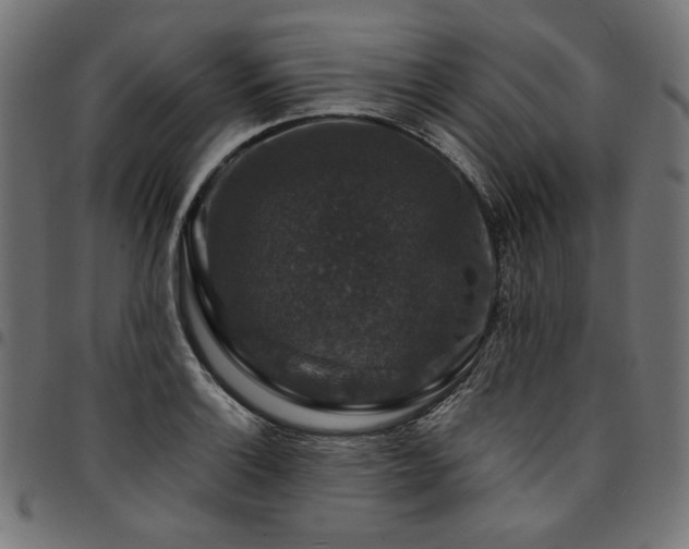 X0000095541132200712141519