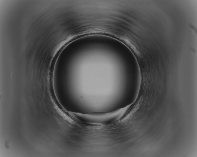 X0000095541134200712141519