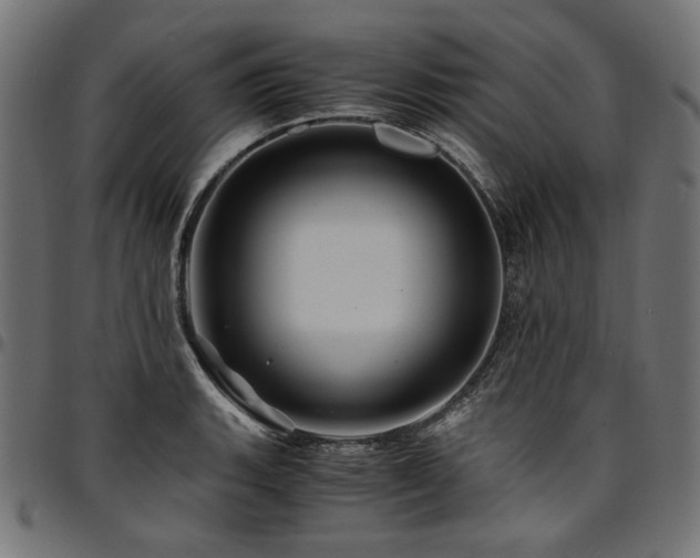 X0000095541135200712141519