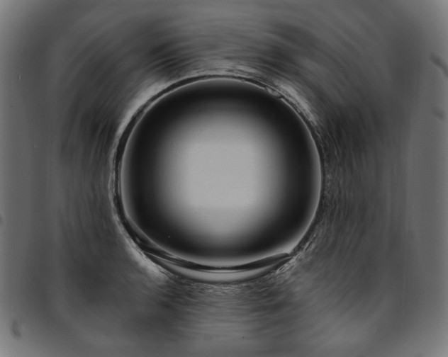 X0000095541136200712141519