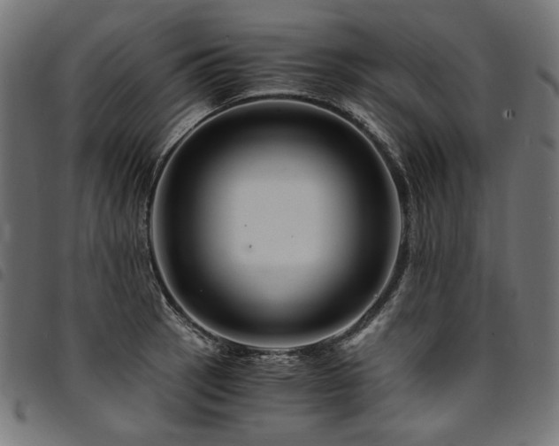 X0000095541137200712141519