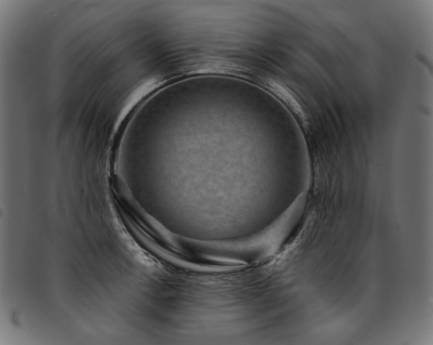 X0000095541138200712141519