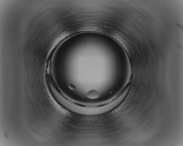 X0000095541139200712141519