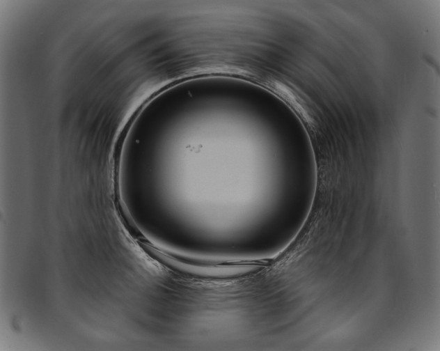 X0000095541140200712141519