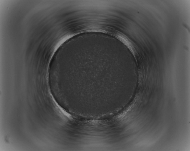 X0000095541141200712141519