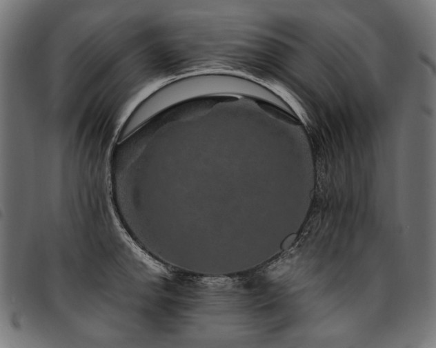 X0000095541142200712141519