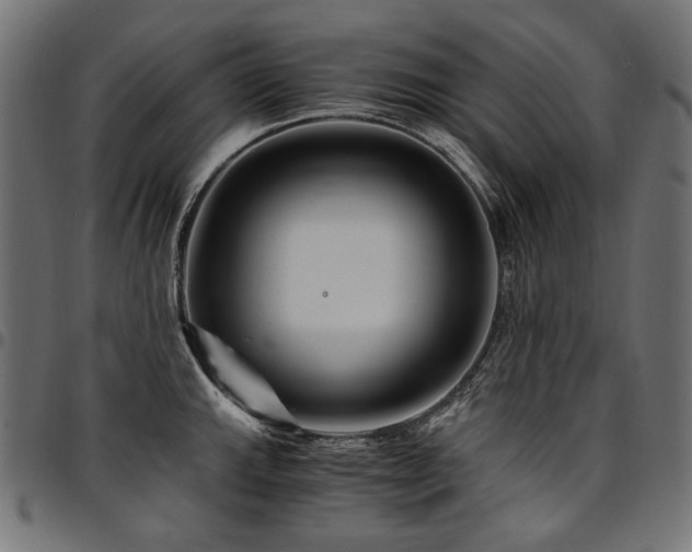 X0000095541143200712141519