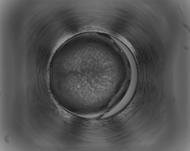 X0000095541144200712141519