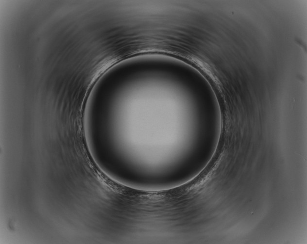 X0000095541145200712141519