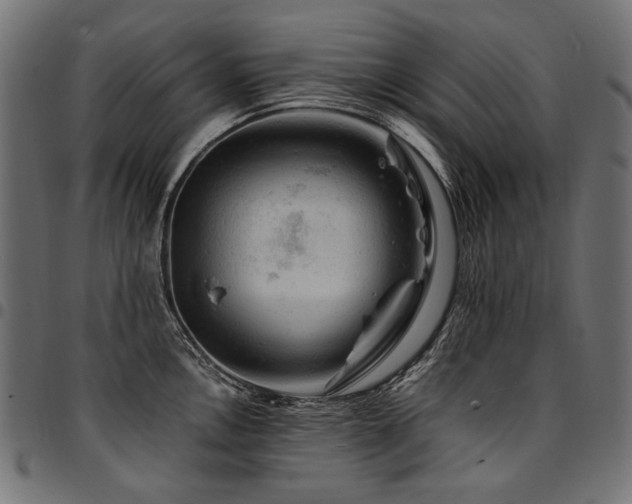 X0000095541146200712141519