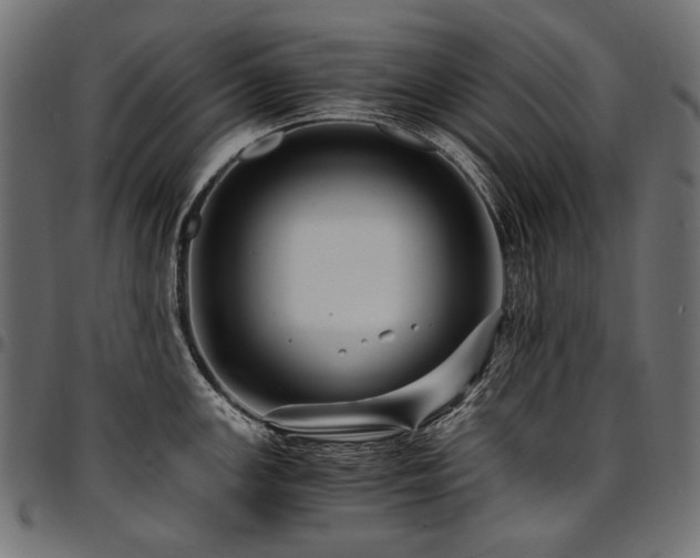 X0000095541147200712141519