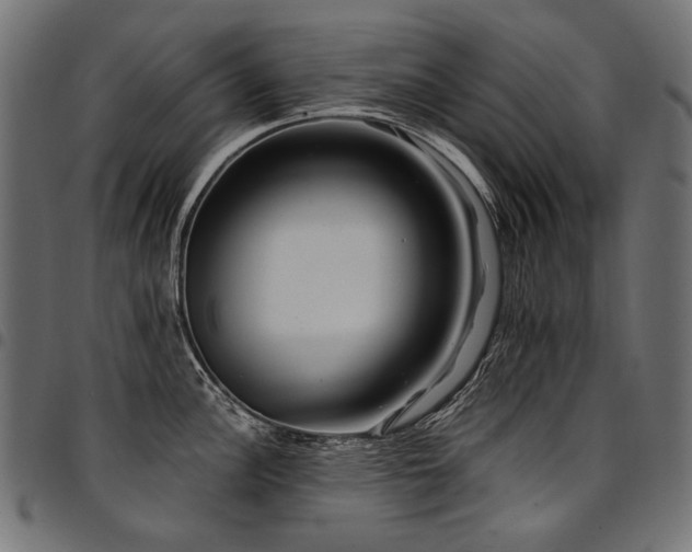 X0000095541148200712141519