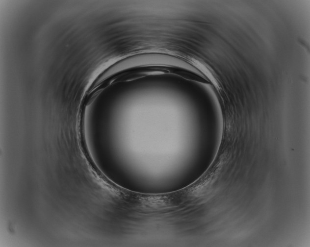 X0000095541149200712141519