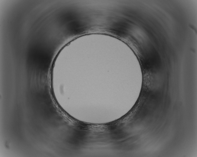 X0000095541150200712141519