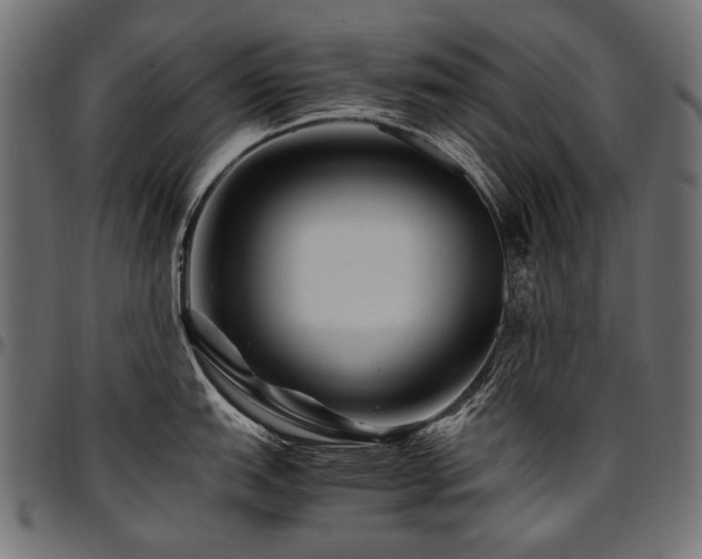 X0000095541151200712141519