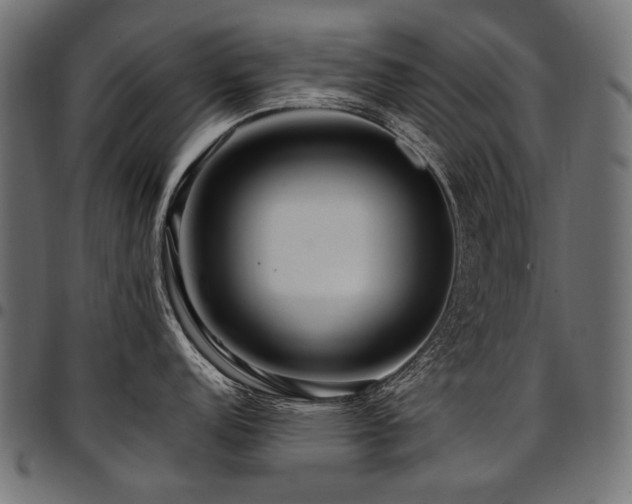 X0000095541152200712141519