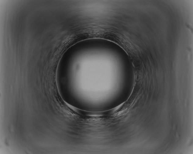 X0000095541153200712141518