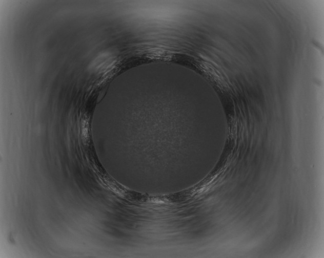 X0000095541154200712141518