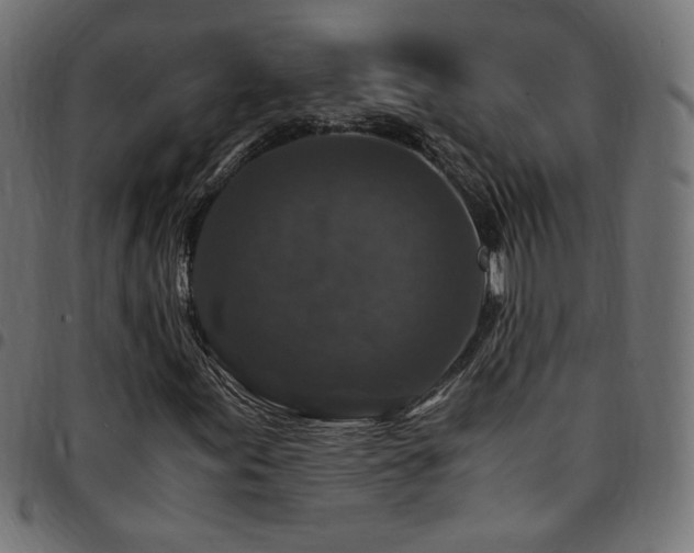 X0000095541155200712141518