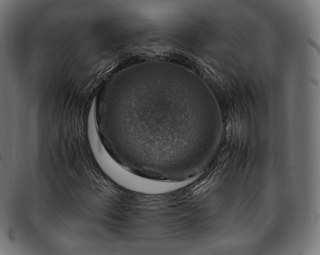 X0000095541156200712141518