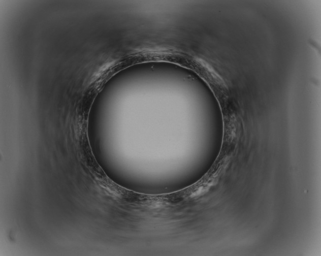 X0000095541157200712141518