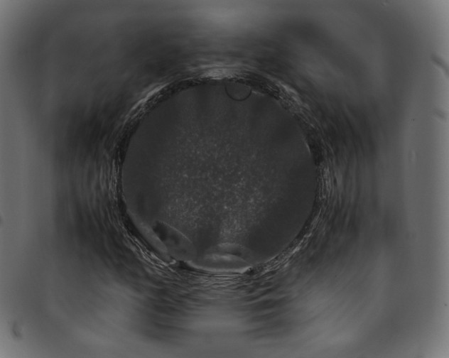 X0000095541158200712141518