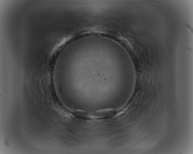 X0000095541159200712141518