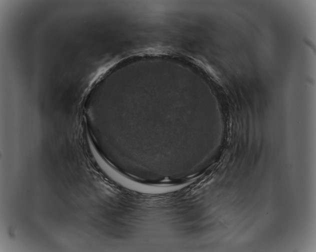 X0000095541160200712141518