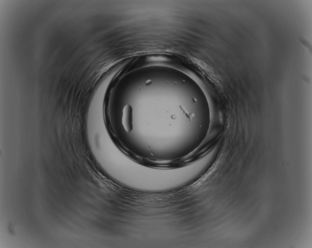 X0000095541161200712141518