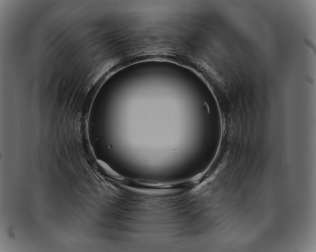 X0000095541162200712141518